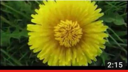 imagen p video fototerapia